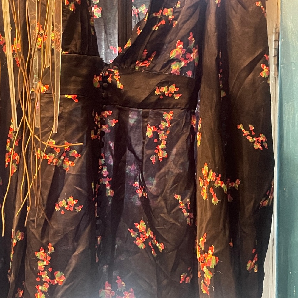 Rat and boa Isabella